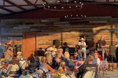 rising-sun-vineyard-live-music-shop-dawgz-1