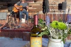 rising-sun-vineyard-live-music-tony-kamel-1