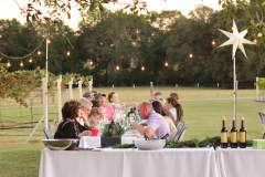 rising-sun-vineyard-texas-winery-dinners-in-the-vineyard