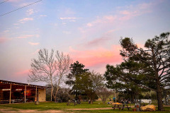 Rising-Sun-Gallery-6