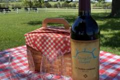 rising-sun-vineyard-picnic