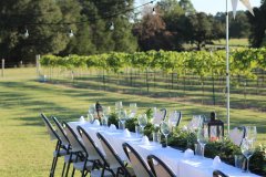 rising-sun-vineyard-private-events-vineyard-views