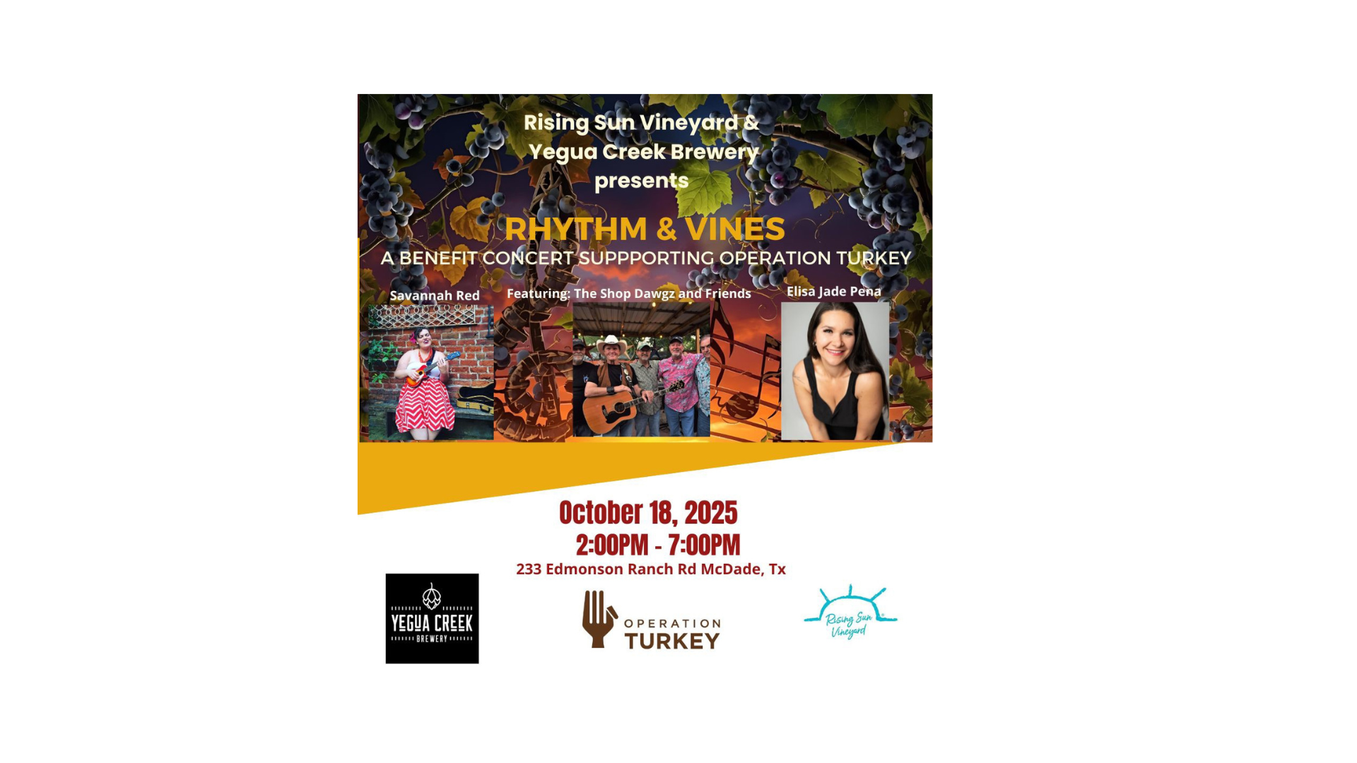 Rhythm and Vines : A Benefit Concert for Operation Turkey Elgin